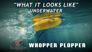 River2Sea Whopper Plopper  What it Looks Like Underwater [upl. by Einned]