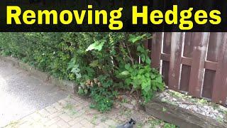 Removing HedgesAn Easy Method [upl. by Sewel]