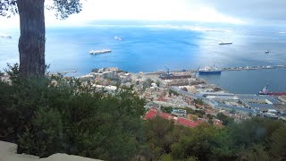 Gibraltar  Rock Monkeys Airstrip [upl. by Ihcalam]