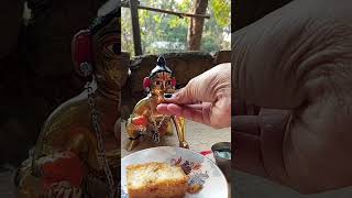 Hare krishna ramayon laddu ramay shortvideo love harekrishna hare ramaramay 🙏 [upl. by Anesor]