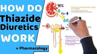 How do Thiazide Diuretics Work  Pharmacology [upl. by Steven]