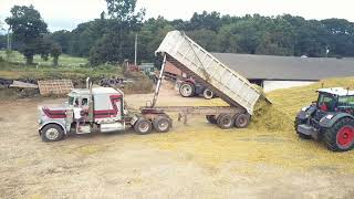 Spielman Farm Corn Chopping Season 2023  Baltic CT [upl. by Kralc]