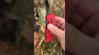 Milwaukee Fastback Utility Knife But Can It Fight Off A Bear [upl. by Einuj]