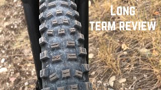 Schwalbe Hans Dampf Review [upl. by Melena]