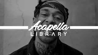 Ty Dolla ign  Spicy feat Post Malone Acapella  Vocals Only [upl. by Rodmur]