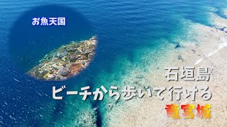 【石垣島】船に乗らなくも歩いて行ける竜宮城 [upl. by Asek468]