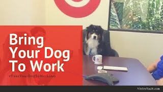 Bring Your Dog to Work Day [upl. by Elatsyrk]