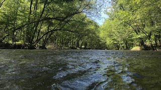 Schuylkill Appalachia  A song about the Schuylkill River and Lake Wynonah [upl. by Ashbaugh]