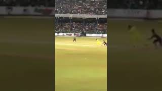 wanindu hasaranga on a hat trick 🙂🤩srilanka cricket cricviduslvsaus [upl. by Osbert703]