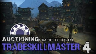 TSM4  How to Build Auctioning Operations  Beginner Friendly [upl. by Akemaj]