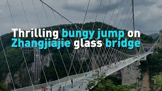 Thrilling bungee jump on Zhangjiajie glass bridge [upl. by Amer]