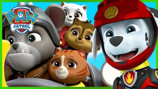 Wild Cat and PAW Patrol Moto Pups save Humdingers Cats  PAW Patrol  Cartoons for Kids Compilation [upl. by Enoid]