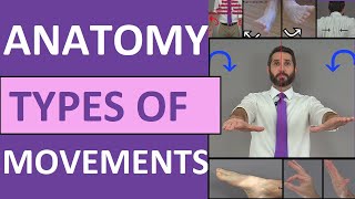 Body Movement Terms Anatomy  Body Planes of Motion  Synovial Joint Movement Terminology [upl. by Otrebor827]