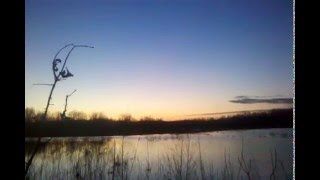 Waterfowl Conservation Project at Powderhorn Plantation [upl. by Collar]