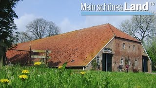 Sommer am Wattenmeer  die schönsten Höfe Norddeutschlands NDR [upl. by Freiman]