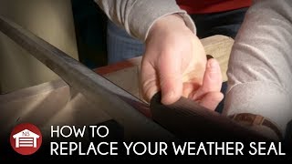 How to Replace  Install Your Garage Door WeatherSeal [upl. by Grew]