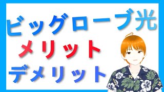 【4万円還元】ビッグローブ光とは！？キャンペーンは？ [upl. by Gambell]