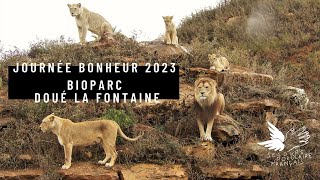 Journée bonheur 2023  Bioparc Doué la Fontaine [upl. by Hannaj561]