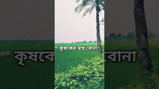 রাস্তার পাশ দিয়ে কৃষকের স্বপ্ন বোনা রয়েছে shorts agriculture agriculturelife short [upl. by Micheil]