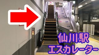 【踊り場付き有】仙川駅 エスカレーター【京王線】 [upl. by Marou]