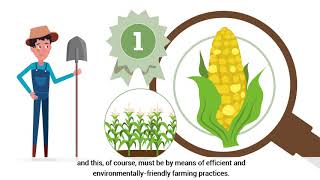 Penergetic Crop Production Overview [upl. by Ramahs]