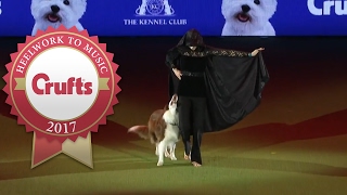 Heelwork To Music Competition Winner  Crufts 2017 [upl. by Stromberg]