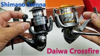 Spinning reel comparison  Shimano Sienna vs Daiwa Crossfire [upl. by Areik]