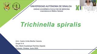 8Trichinella spiralis [upl. by Louella]