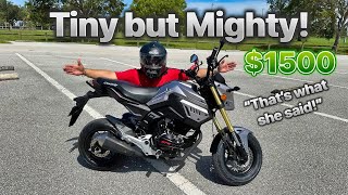 I Bought The StepUp 2023 Honda Grom Clone  RPS Condor 150  60MPH [upl. by Nwadrebma463]