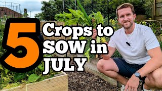 Practical tips on Interplanting and Succession sowing for July [upl. by Ramsey]