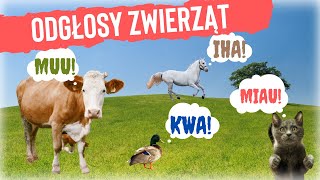 Odgłosy zwierząt dla dzieci Nauka zwierząt dla najmłodszych 🐴🐷🐸 [upl. by Terrene391]