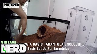 Building a basic tarantula enclosure  Basic Set Up For Tarantulas [upl. by Accber]