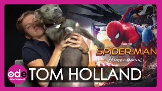 SPIDERMAN Tom Holland brings his dog to our interview [upl. by Aramak]