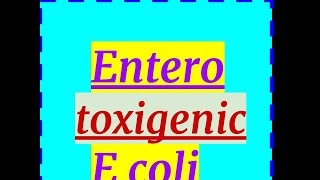 Enterotoxigenic E coli Travelers Diarrhea [upl. by Ingar]