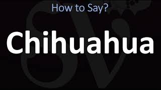 How to Pronounce Chihuahua CORRECTLY [upl. by Ardnasal920]