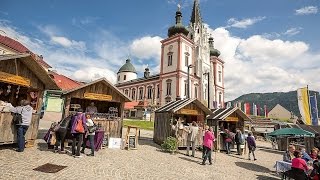 Doku Mariazeller Land  Geheimnisvolle Bergwelt zwischen Ötscherland und Hochschwab HD [upl. by Lednar]