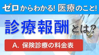 【診療報酬とは？】医療の値段の仕組みについて解説 [upl. by Neelon705]