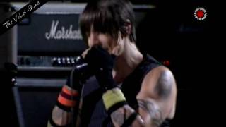 Red Hot Chili Peppers  The Velvet Glove  Live in Chorzów [upl. by Corsiglia]