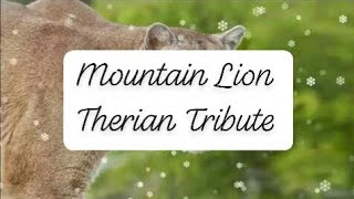 Mountain Lion Therian Tribute [upl. by Annahsad474]