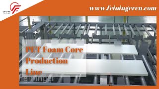 PET foam core production line and Pelletizing machines [upl. by Yasnyl387]