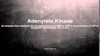 Medical vocabulary What does Adenylate Kinase mean [upl. by Hacceber796]