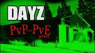 DayZ PvP on a PvE server  THE PURGE [upl. by Solberg218]