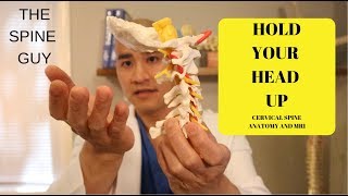 How to read your Cervical MRI [upl. by Lleira744]