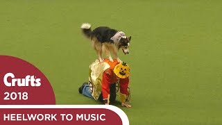 Freestyle Heelwork to Music Competition Part 3  Crufts 2018 [upl. by Soracco34]