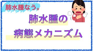 教科書をわかりやすく！「肺水腫の病態メカニズム」 [upl. by Bak]