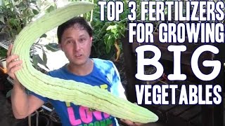 Top 3 Fertilizers for Growing BIG Vegetables [upl. by Ecneralc]