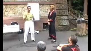 Wing Tsun Leung Ting Tutorial Chi Sao 8 [upl. by Malony579]