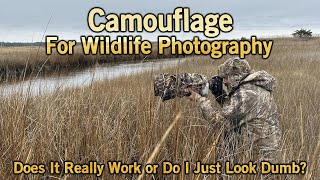 Camouflage and Wildlife Photography [upl. by Kira]