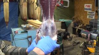 Professional Fur Handling Otter Part 1 Skinning [upl. by Ahsenev]