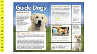 2015 KS2 SATs Reading paper walkthrough Guide Dogs [upl. by Adnorrehs668]